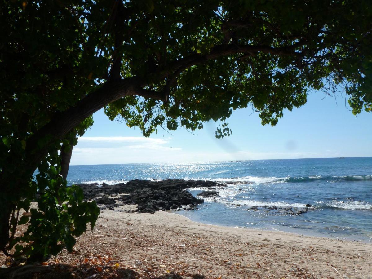 Downtown Hawaiian Paradise Condo With Hot Tub, Pool & Beach - Kona Islander Inn Kailua-Kona Buitenkant foto